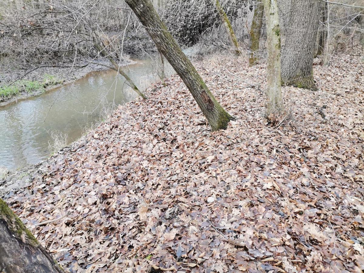 Apartament Okerka Vendeghaz Csesztreg Zewnętrze zdjęcie